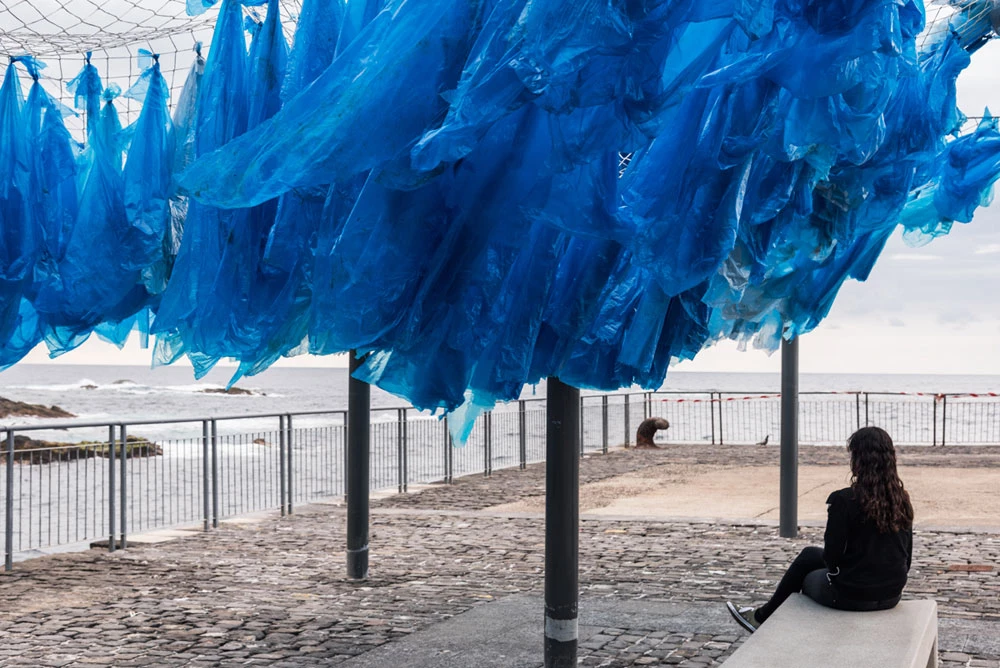 Festival Internacional de Cine Medioambiental de Canarias
