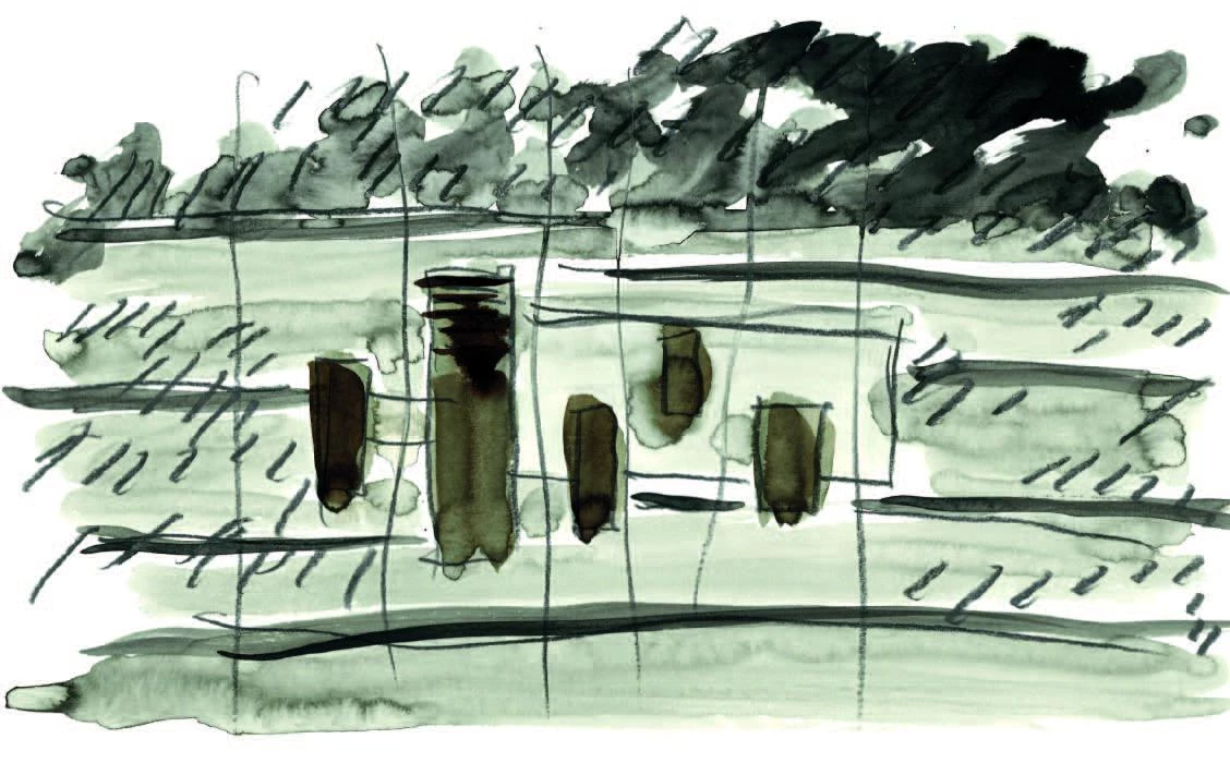 Museo Soulages, Rodez